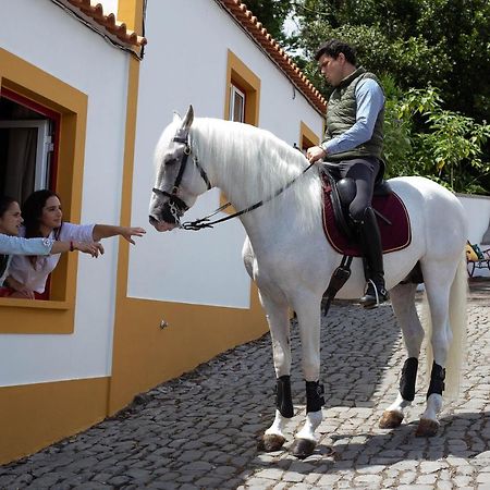 Quinta Do Malhinha- Turismo Villa Angra do Heroísmo Exterior foto