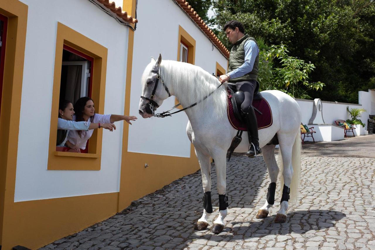 Quinta Do Malhinha- Turismo Villa Angra do Heroísmo Exterior foto